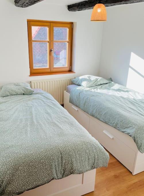 Villa Bien Dans Vos Schlopps Dambach Esterno foto